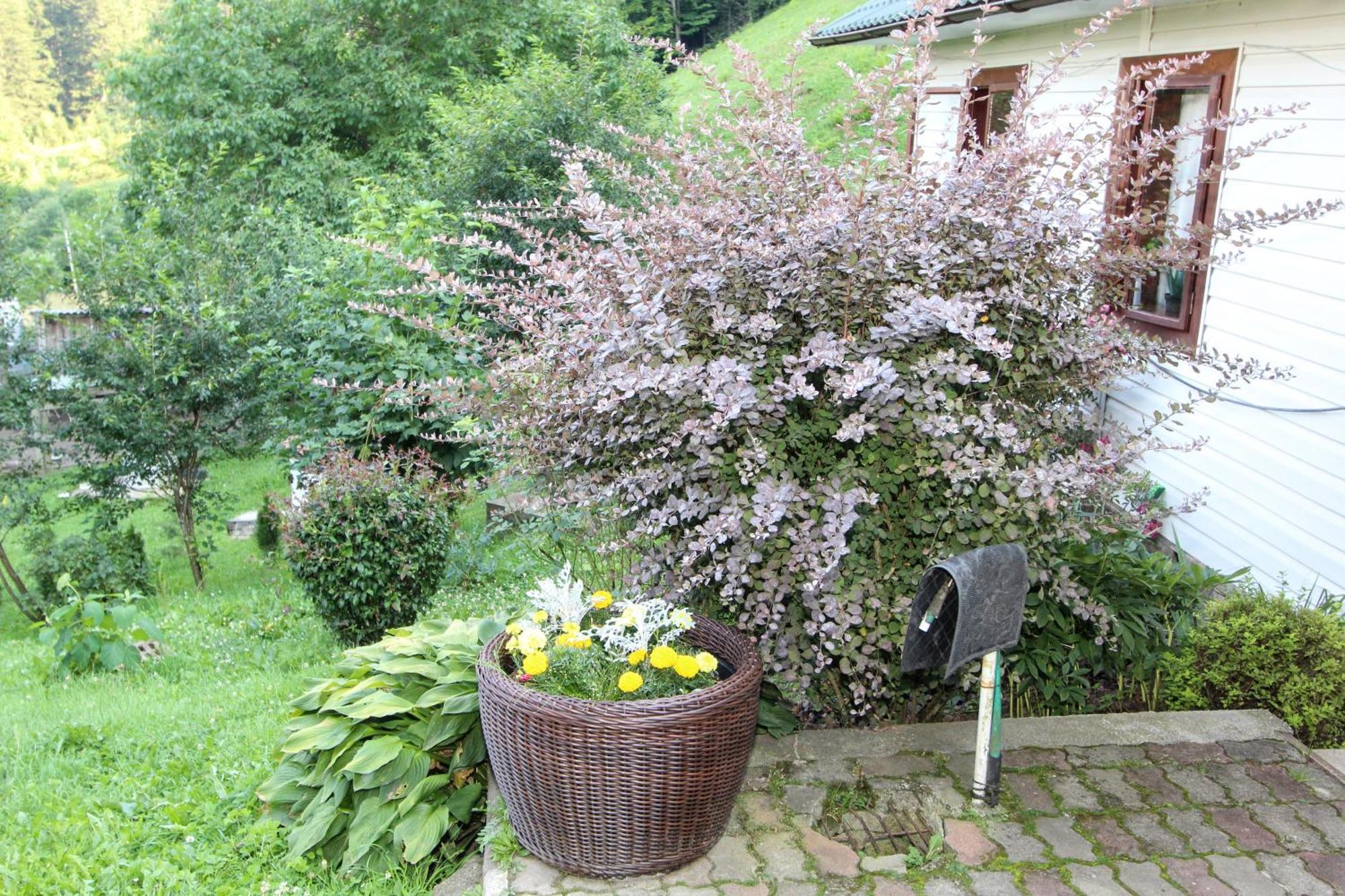 Котедж "Красний Краєвид" Yaremche Exterior foto