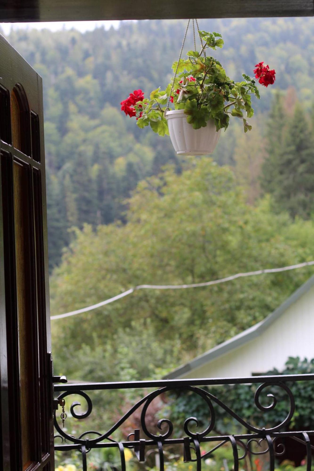 Котедж "Красний Краєвид" Yaremche Habitación foto